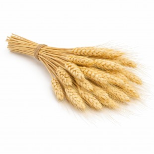 Grâu decorativ uscat natural – 60 cm